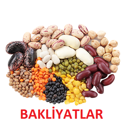 BAKLİYATLAR